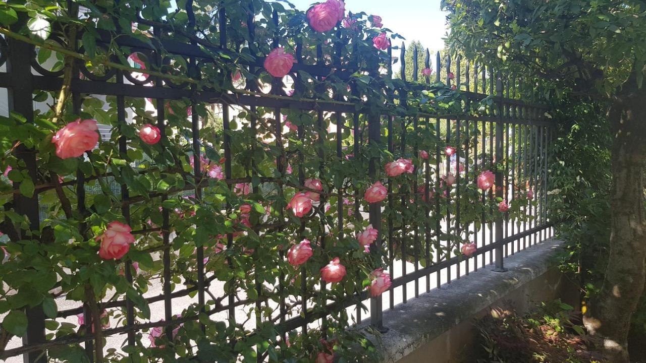 Appartamento Modenese 8 Peschiera del Garda Dış mekan fotoğraf